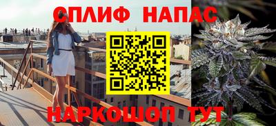 амф Гай