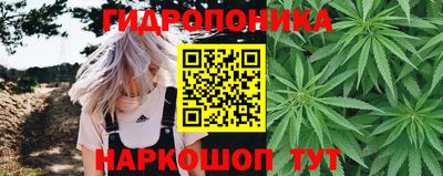 амф Гай