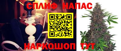 амф Гай