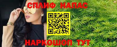амф Гай