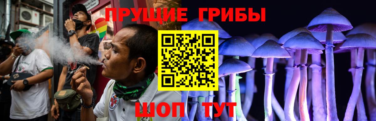 Мурманск  Псилоцибиновые грибы Cubensis  Вход с VPN 