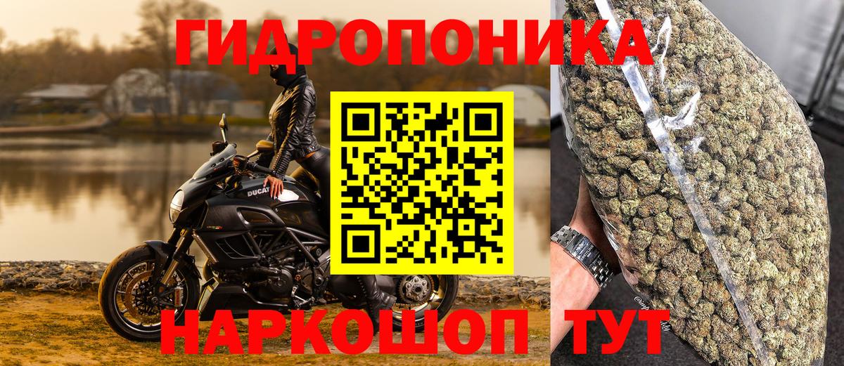 Бошки марихуана VHQ  Вход с VPN  Канабис марихуана  Мурманск 
